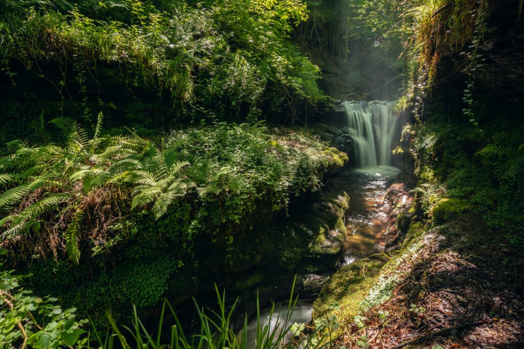 waterfall-in-forest-area-with-lot-of-vegetation-min